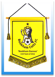 Printed Personalised Club Sports Pennants