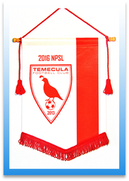 Custom Soccer Team Pennants